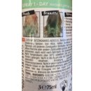 L’Oréal Colovista 1-Day Color Spray MINTHAIR, 75 ml Flasche (1er Pack)