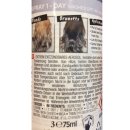 L’Oréal Colovista 1-Day Color Spray GREYHAIR, 75 ml Flasche (1er Pack)