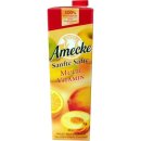 Amecke Sanfte Säfte Multivitamin 100% Frucht 1er Pack (1x1 Liter)