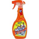 Mr. Muscle Küche-Total 5in1 (500ml Sprühflasche)