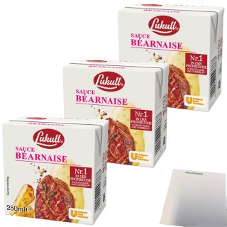 Lukull Sauce Bearnaise Gastro Qualität 3er (3x250ml Packung) + usy Block