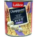 Lutece Champignon-Köpfe aus Paris, 1. Wahl, mini (800g)