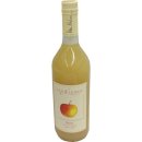 Van Nahmen Apfelsaft Elstar (0,75 Liter Flasche)