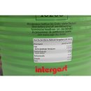 Cuisine Noblesse Grüne, ganze Gewürzgurken in klarem Aufguss 75-80 Stck. (10 Liter Konserve)