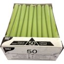 Papstar Leuchterkerzen in limonengrün, 25cm (50 Stck.)